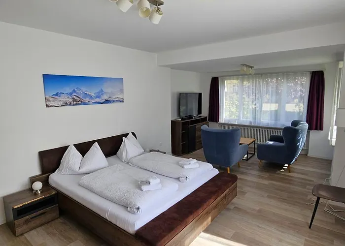 홈스테이 Henry's 인터라켄